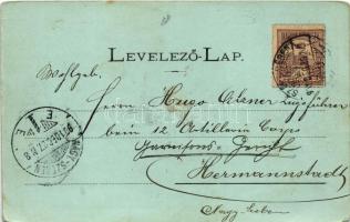 1901 Szászrégen, Sächsisch-Regen, Reghin; Horváth kastély, Matskási kastély este holdfényben. Rudolf...