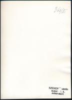 cca 1930-1940 Szendrő István (1908-2000): Artisták, hátoldalon pecséttel jelzett fotó, 23×17 cm