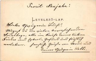 Alsószombatfalva, Alsó-Szombatfalva, Sambata de Jos; park, lovas kocsi. Helios fényképészeti műterem...