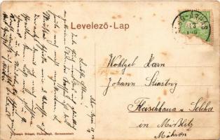 1913 Alsóárpás, Unterarpasch, Arpasu de Jos; Societatea de consum si valorisare. Joseph Briegel Phot...