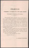 1897 Kecskemét th. város színügyi bizottságának szervezeti szabályai 4p. + Felhívás kecskeméti termé...