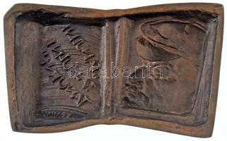 DN " 'Tanulni, tanulni, tanulni' (Lenin)" bronz emlékplakett (138x84mm) T:AU