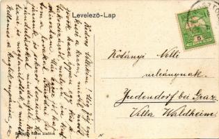 Nagykosztolány, Nagy-Kosztolány, Velké Kostolany; Községháza. Szobotha János kiadása / town hall (fl...