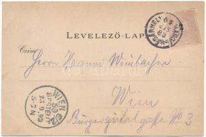 1898 (Vorläufer) Marosvásárhely, Targu Mures; Fő tér, Bem szobor. Temesvári M. No. 10. / main square...