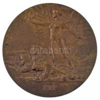 Osztrák-Magyar Monarchia 1914. "Ferenc József" kétoldalas aranyozott bronz emlékérem. Szig...