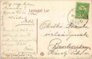 1908 Tótpelsőc, Pliesovce; látkép, városi vendéglő. Polgár I. kiadása (Ipolyság) / general view, res...