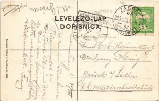 1908 Zamlacsszentvid, Vidovec; Seoska kuca, Hrvatski krajobraz / Bauernhaus, Kroatische Landschaft /...