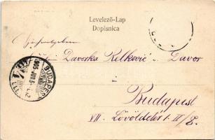 1905 Varasdfürdő, Warasdin-Töplitz, Varazdinske Toplice; Kurhaus, Mutter Gottes, Chinesischer Pavill...