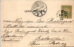 1904 Jolsva, Jelsava; Felső utca, Koburg herceg kastélyával. Czibur Emil kiadása / street view, cast...