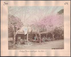ca 1890 Kusakabe Kinbei, (1841-1932) Japán, Tokio Kameido Wistaria bosket / Ueno, Cholnoky Jenő föld...