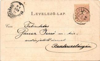 1899 (Vorläufer) Selmecbánya, Schemnitz, Banská Stiavnica; Honvéd szobor. Leleplezve 1899. október 8...