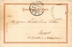 1899 (Vorläufer) Lázne Jeseník, Gräfenberg; Priessnitz Geburts-Jubiläums-Karte, Vincenz Priessnitz B...