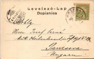 1903 Pozsega, Pozega; Glavni trg. Lav. Klein / Fő tér, Samuel Preiss, Josip Krausz üzlete / main squ...