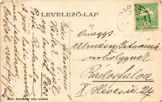 1910 Dárda, Schaumburg Lippe hercegi kastély. Stockbauer Géza kiadása / castle (EK)