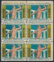 1932 American-Hungarian olympic committee levélzáró 6-os tömb, ritka!