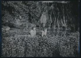 cca 1930-1940 Szendrő István (1908-2000): Lányok virágokkal, hátoldalon pecséttel jelzett fotó, 24×18 cm