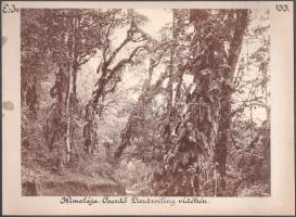 Himalája, Dardzsiling tartomány, India 7 db keményhátú fotó, Shepherd &amp; Robertson Co. 7 db a...