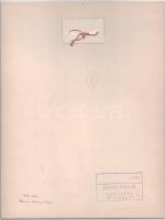 G. Szántó András (1937-2002): Férfi arc. Fotó, papír, kartonon, hátoldalán pecséttel jelzett, kis ko...