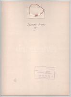 G. Szántó András (1937-2002): Szandai Sándor portréja. Fotó, papír, kartonon, hátoldalán pecséttel j...