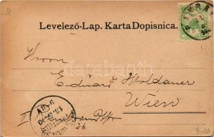 1900 Pakrác, Pakratz, Pakrac; Serbische Pfarr, Kathedral Kirche, Hotel Pakrac, Altes Schloss, Herrsc...