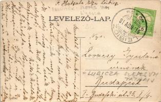1915 Leibic, Leibitz, Lubica; Szentháromság szobor, Fő utca, evangélikus templom. Millán József kiad...