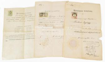 cca 1873-1883 Lieber Győző bizonyítványa és szigorlati lapja Concha Győző (1846-1933) főrendi házi tag aláírásával