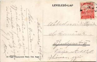 1919 Velence, Velencei-tó, udvari részlet, Süszmann Sándor üzlete (fl)