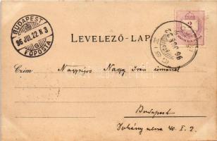 1896 (Vorläufer!!) Csíz, Csízfürdő, Kúpele Cíz; Kútház ivócsarnokkal, Vendéglő, fürdőház és lakházak...