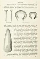 Sebestyén Gyula: Világtörténet. A legrégibb időktől korunkig. I. köt. 1. füzet: Ókor. A művelt közön...