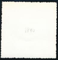 1950 Levelekkel takart akt a nádasban, fotó, 7×7 cm