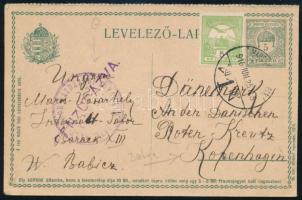 1916 Díjkiegészített díjjegyes levelezőlap "INTERNÁLT TÁBORI GAZDASÁGI HIVATALA" bélyegzéssel Dániába / PS-card with additional franking to Copenhagen