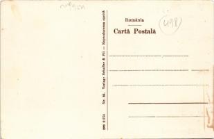 Vatra Dornei, Dornavátra, Bad Dorna-Watra (Bukovina, Bucovina, Bukowina); Vedere totala / general vi...