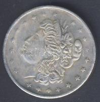 USA DN 1$ "Liberty" fém hamisítványa (metal fake)