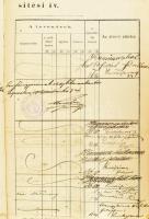 1902-1911 M. Kir. Pénzügyőri szakasz érvényesítési ív