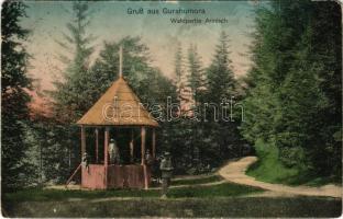 1914 Gura Humorului, Gurahumora, Gura Humora (Bukovina, Bucovina, Bukowina); Waldpartie Arinisch. Verlag Adolf Scherzer / forest pavilion (EM)