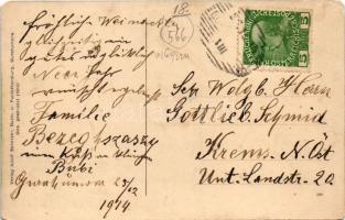 1914 Gura Humorului, Gurahumora, Gura Humora (Bukovina, Bucovina, Bukowina); Waldpartie Arinisch. Ve...