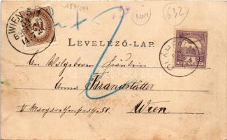 1900 Homoródfürdő, Homoród-fürdő, Baile Homorod; fürdő látképe. Roth G. Hermann fényíró műhelye kiad...