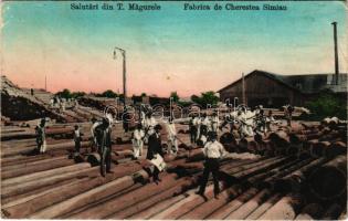 Turnu Magurele, Fabrica de Cherestea Simian / Simian timber factory, sawmill, lumber yard, wood industry. Edit. Lib. G. Stoicescu Ssori (worn corners)