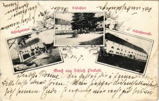 1906 Pinkafő, Pinkafeld; Schloß Pinkafő, Schoßzufahrt, Schloßhof, Schoßterrasse / vár, kastély bejárata, udvara és terasza / castle, entrance, courtyard and terrace. Art Nouveau, floral (fl)