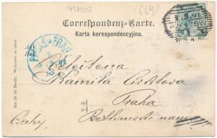 1901 Rzeszów, Rajsze; Rynek / market square, town hall, shops (fa)