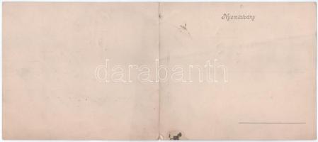 Nagyvárad, Oradea; látkép, híd, zsinagóga, Strohmayer Pál, Jánky Antal üzlete, Gazdasági és Iparbank...