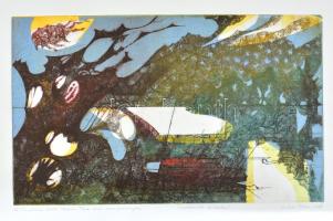 Csikós Tibor (1957-): Parafrázis Dobó Tihamér Tisza című secco festményére, 2007. Viszkozitás technika, papír, jelzett. Lap alja kissé sérült. 20x33 cm.