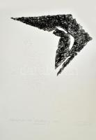 Szőcs Géza (1967-): Felülről támadva. Aktív (?) technika, dombornyomás, papír, jelzett, művészpéldány EA I/V számozással. 47x40 cm