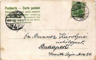 1903 Berlin, Palais Kaiser Wilhelm / palace. Art Nouveau, litho (fa)