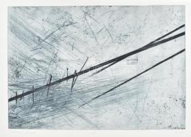 Kéri Bálint Bence (1969-): Részlet XI., 2000. Hidegtű, papír, jelzett, próbanyomat. 34,5x50 cm