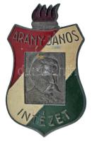 ~1950. "Arany János Intézet" festett fém iskolajelvény, sapkajelvény (28x47mm) T:AU,XF