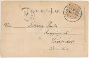 1899 (Vorläufer) Blaha Lujza és Sárika. Strelisky cs. és kir. udvari fényképész felvétele, dombornyo...