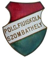 ~1920. "Polg. Fiúiskola Szombathely" zománcozott bronz iskolajelvény (31x37mm) T:AU tű hiányzik