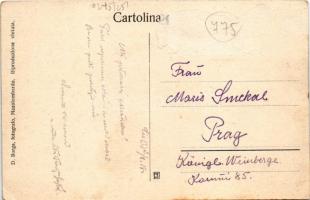 Dermulo, Dermullo; Stazione, Tramvia-Dermullo-Fondo-Mendola, Albergo Centrale. D. Borga / railway st...