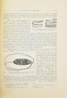 Dacia - Revue d'archéologie et d'histoire ancienne. Különlenyomat, 472-279p. Egon Dörner. ...